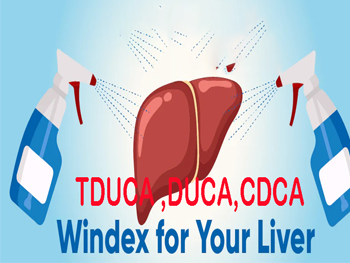 Ursodeoxycholic Acid vs TUDCA